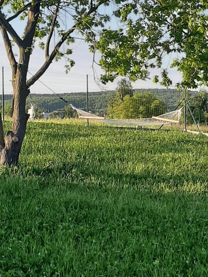 Gosp. Agroturystyczne Stary Gaj Βίλα Zerkowice Εξωτερικό φωτογραφία