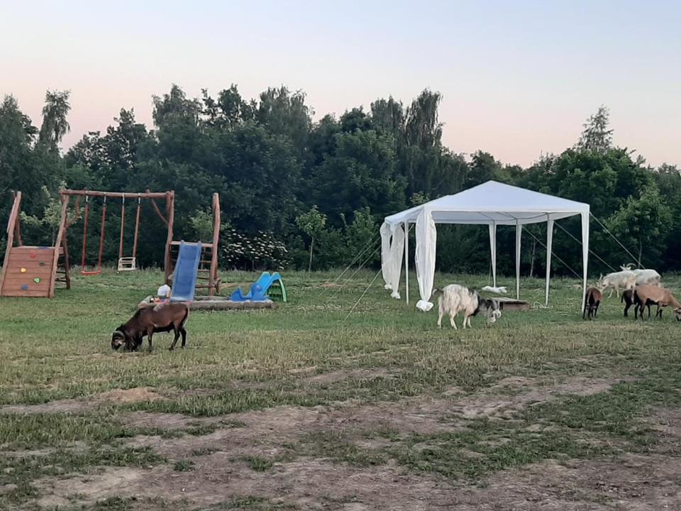 Gosp. Agroturystyczne Stary Gaj Βίλα Zerkowice Εξωτερικό φωτογραφία